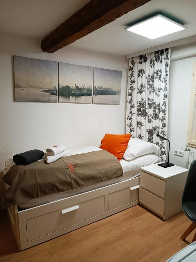 Junger Fuchs Hotel Salzbourg
